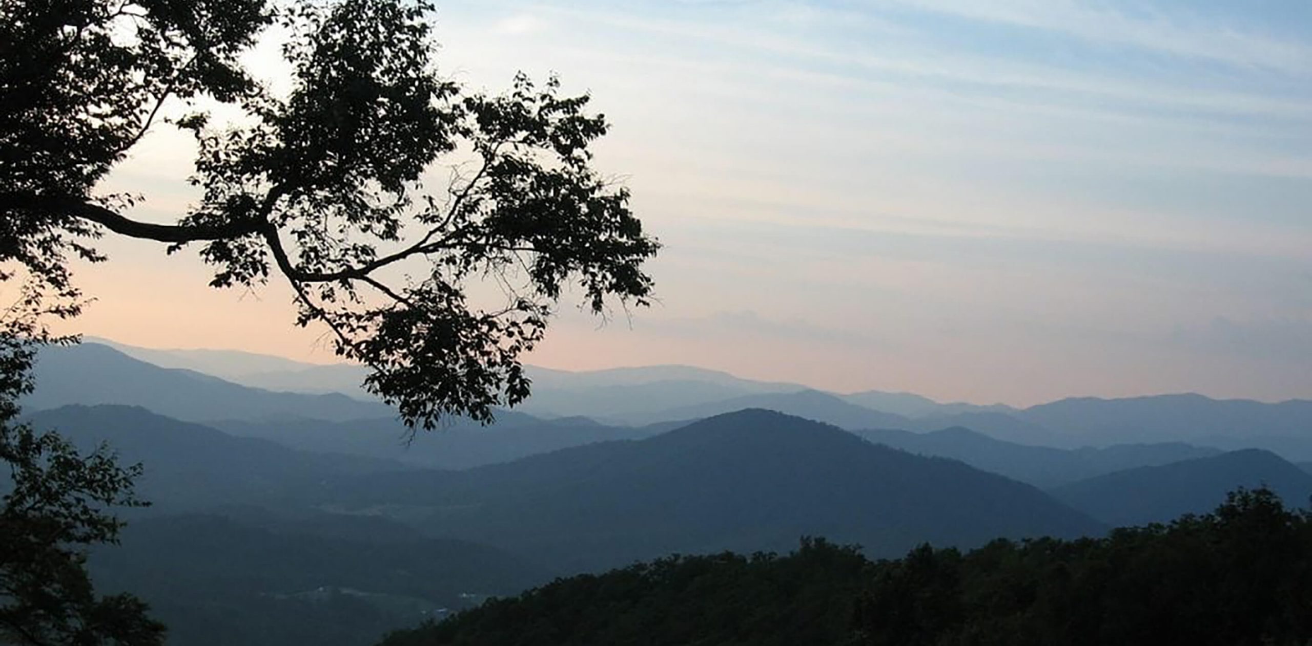 FY22_US_AngelsEnvy_InsideAngelsEnvy_DanielBooneNationalForestWhereWeToastTheTrees_Header_Desktop (1)