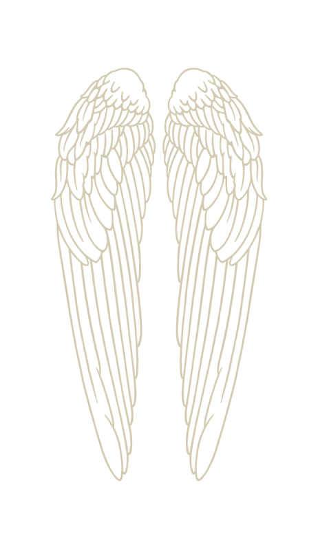 angelsenvy_brand_assets_brandmark_gold_M_2